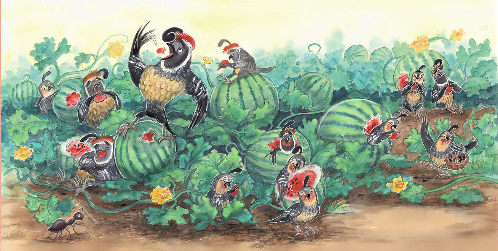 A family of quail feasting their way along a watermelon patch, painted as a wide panorama