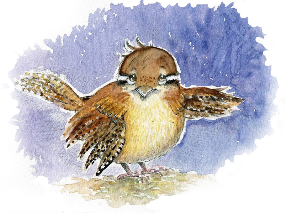 Watercolor painting of a small brown wren with its wings spread wide